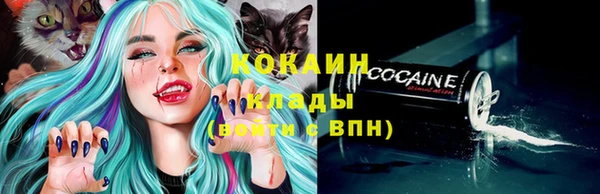гашик Заводоуковск