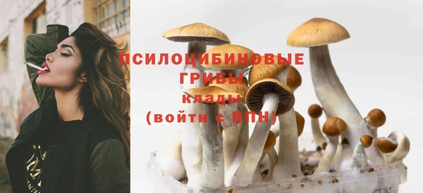 мдпв Сатка