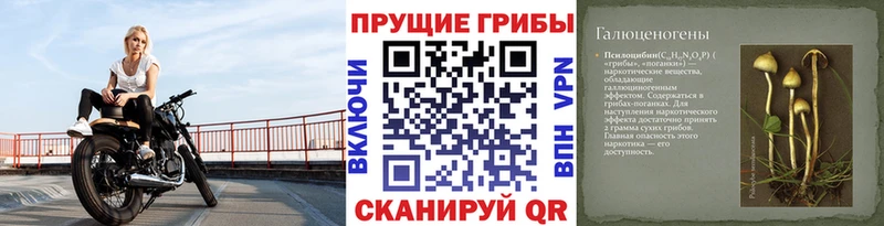 это как зайти  KRAKEN онион  Теберда  продажа наркотиков  Псилоцибиновые грибы Magic Shrooms 